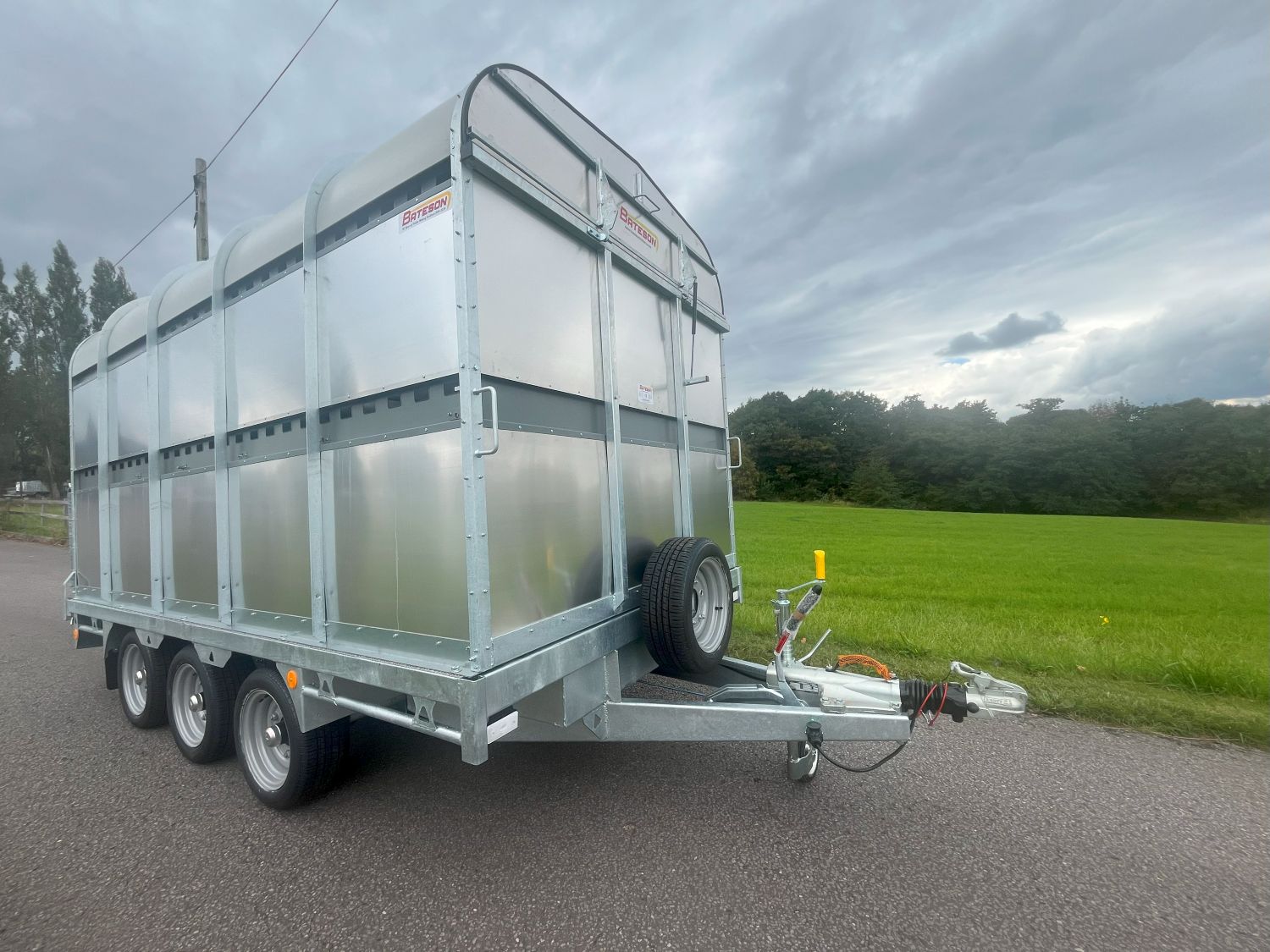 50LT 10′ x 6’6″ Livestock Trailer