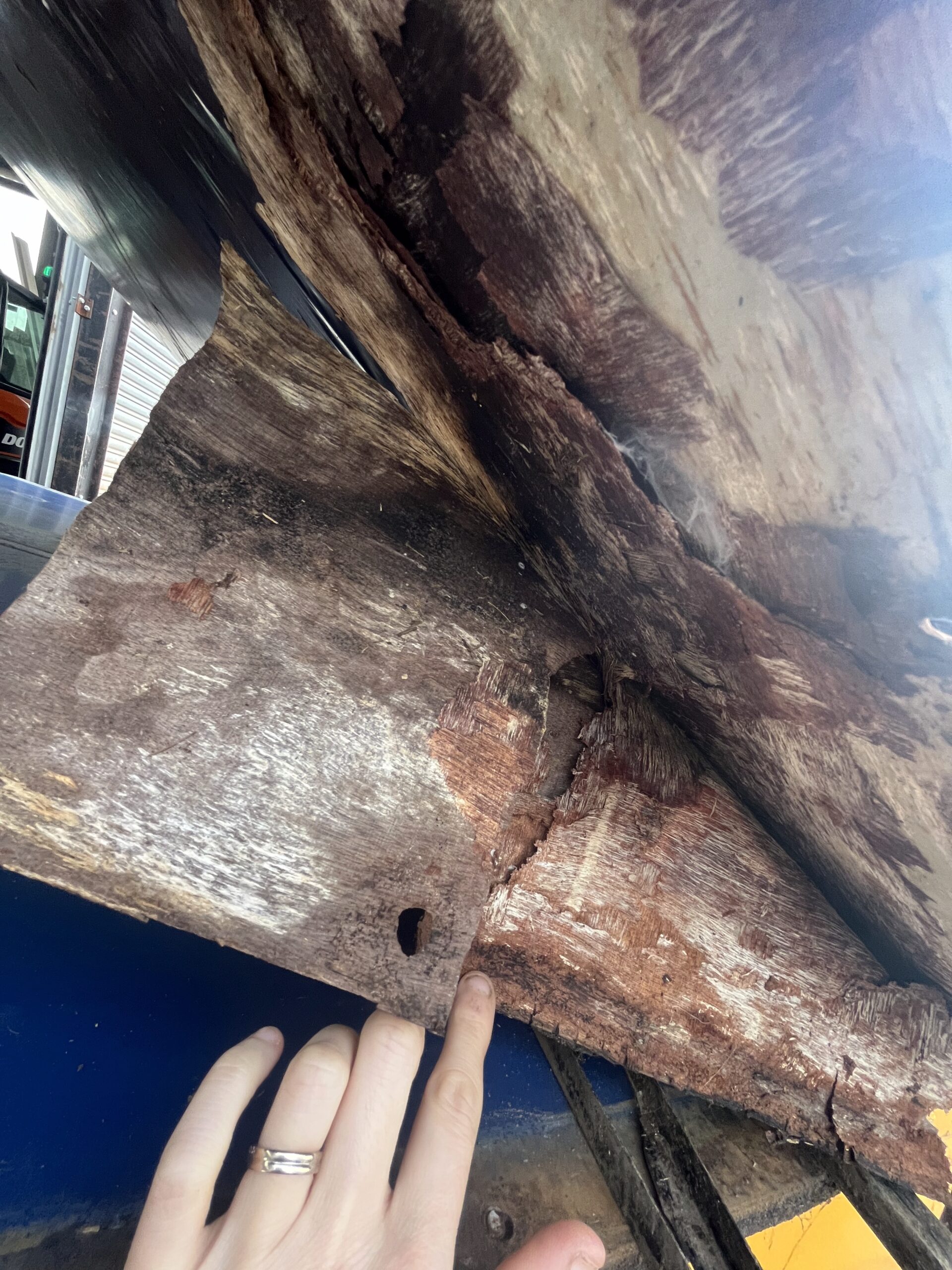  Is Your Horse Trailer Hiding Dangerous Rot?